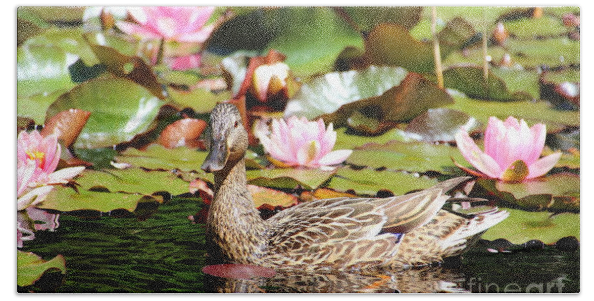 Lilies Bath Towel featuring the photograph Duck in the Water Lilies by Amanda Mohler