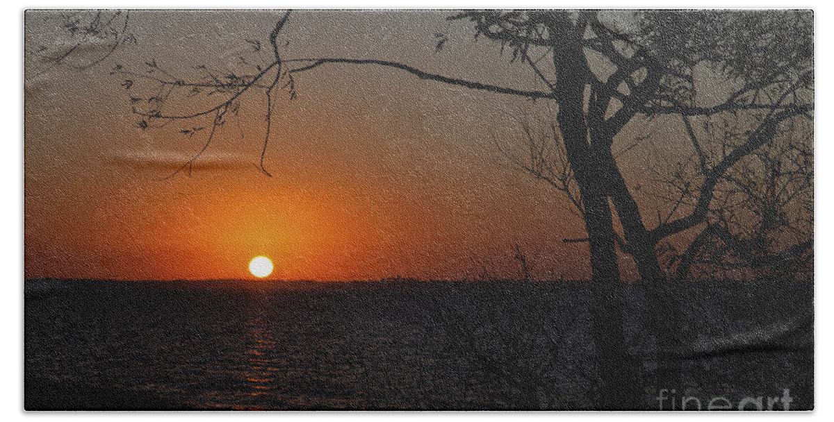 Sunset Bath Towel featuring the photograph Duck Sunset by Ronald Lutz