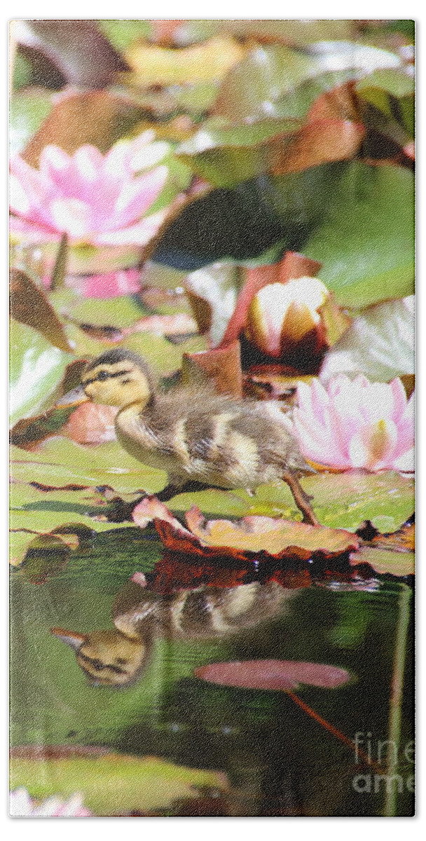 Ducklings Bath Towel featuring the photograph Duckling running over the Water Lilies 2 by Amanda Mohler