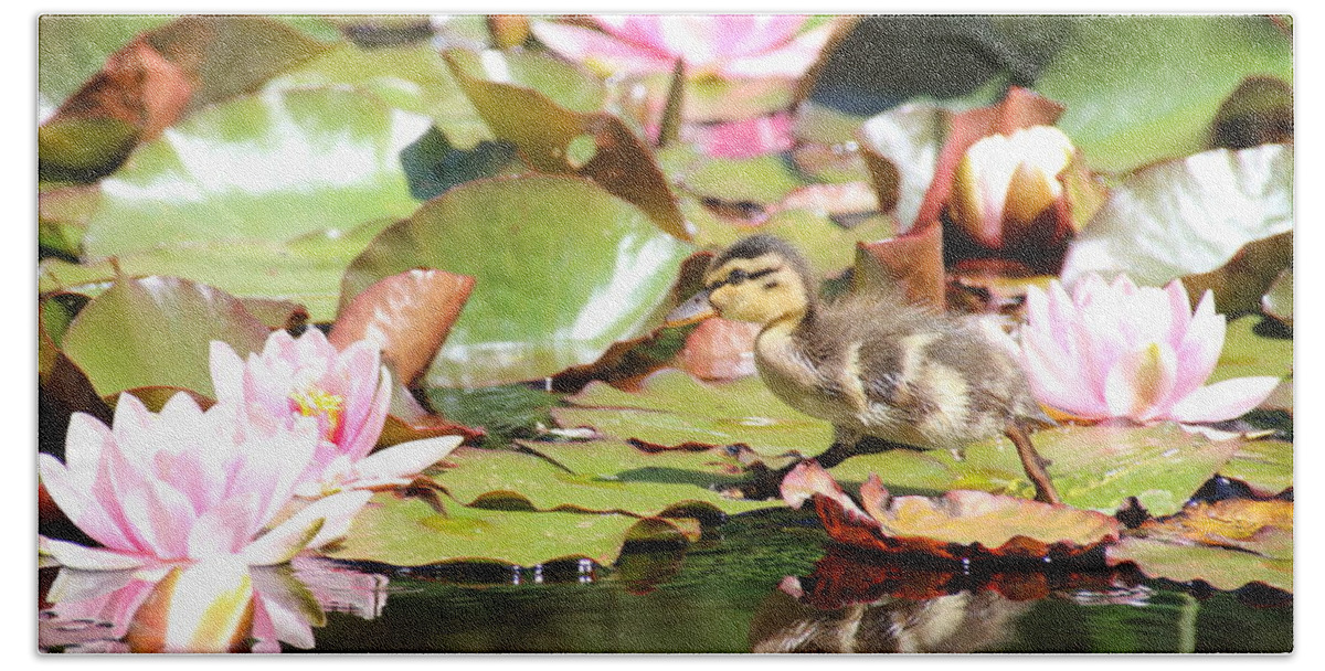 Ducklings Bath Towel featuring the photograph Duckling running over the Water Lilies by Amanda Mohler
