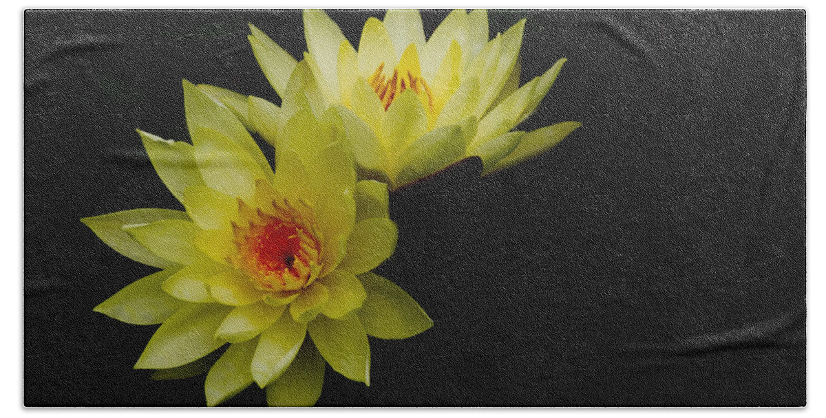 Water Lily Bath Towel featuring the photograph Duo by Rebecca Cozart