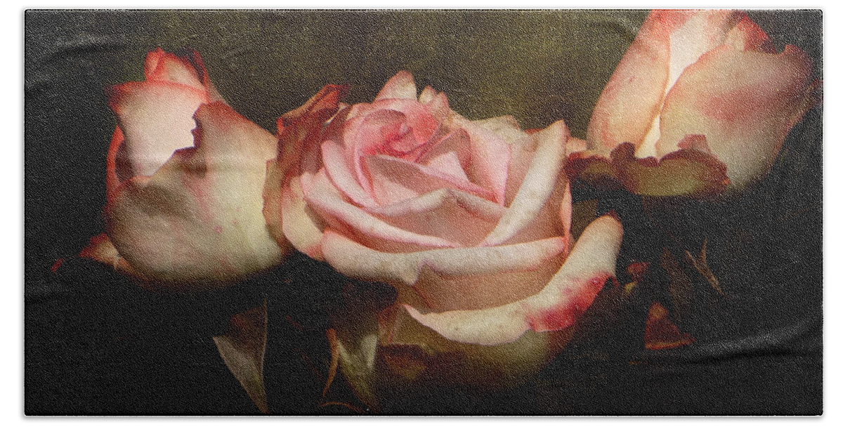 Rose Hand Towel featuring the photograph Dusty Rose by Blair Wainman