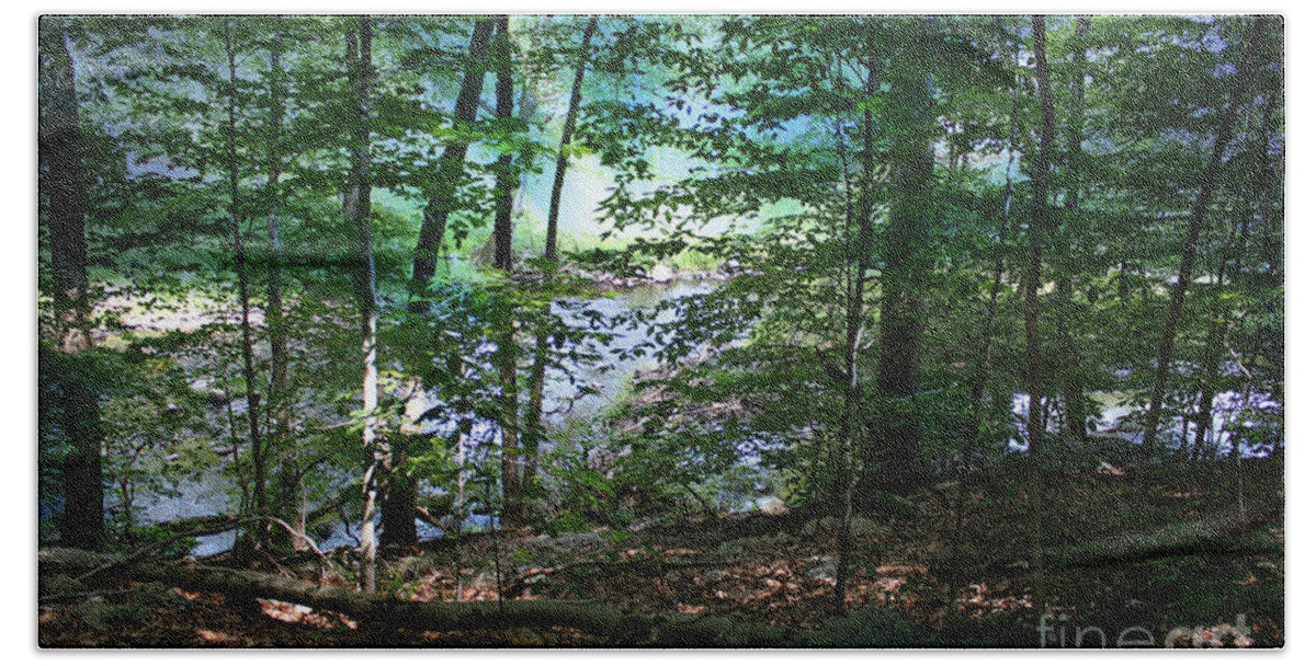 Woods Bath Towel featuring the photograph Early Morning Mist by Judy Palkimas