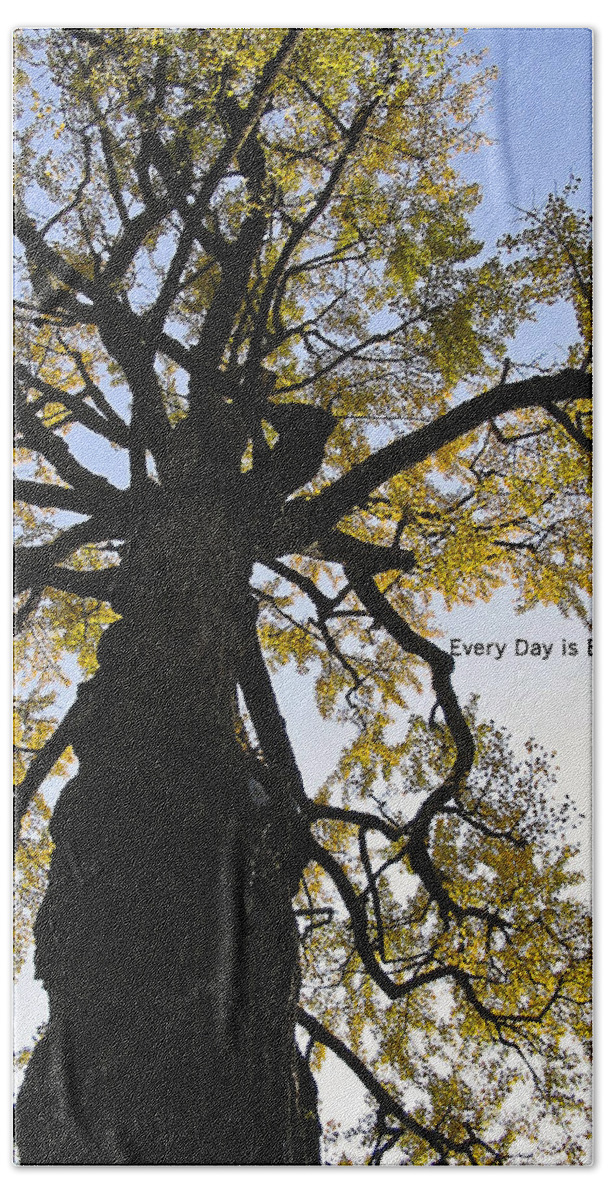 Photography Bath Towel featuring the photograph Earth Day Special - Ancient Tree by Ivy Ho