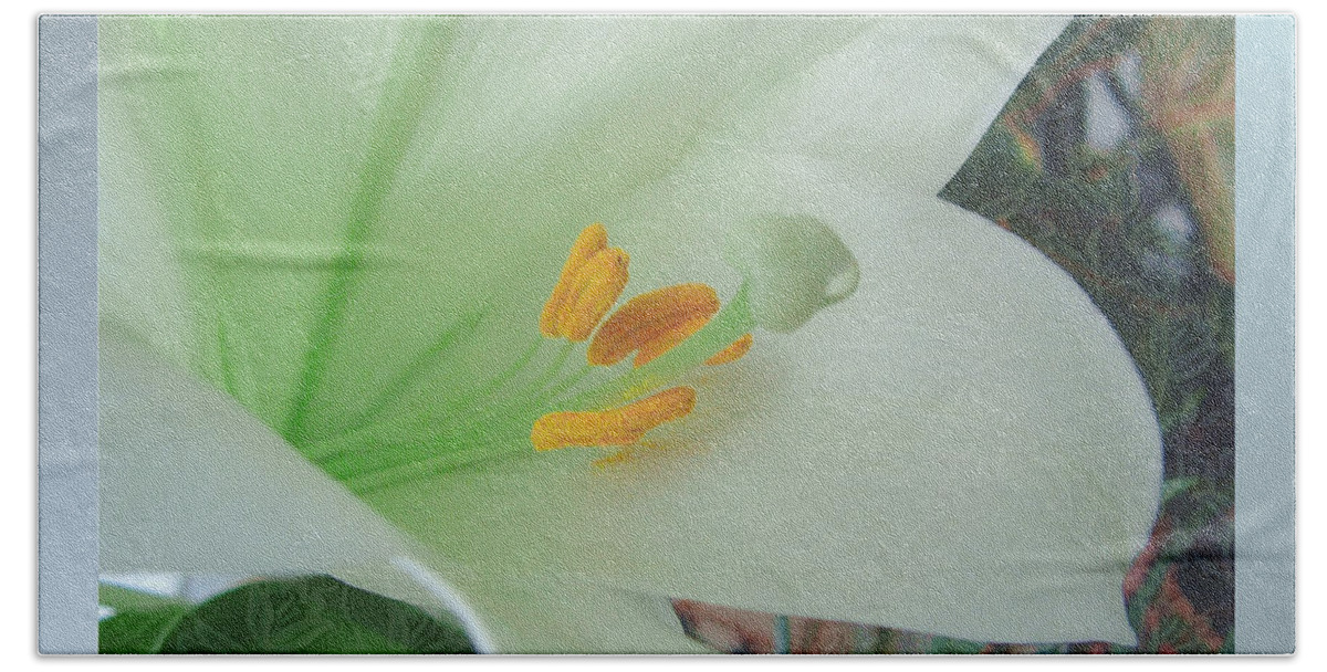Easter Hand Towel featuring the photograph Easter Lily by Kae Cheatham