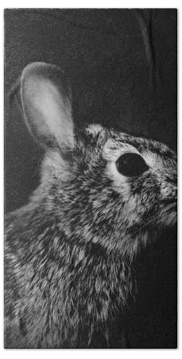 Nature Bath Towel featuring the photograph Eastern Cottontail Rabbit Portrait by Rebecca Sherman