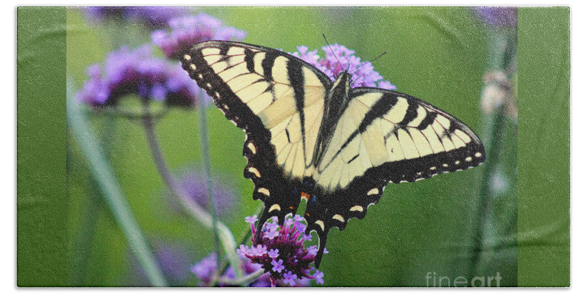 Eastern Tiger Swallowtail Butterfly Hand Towel featuring the photograph Eastern Tiger Swallowtail Butterfly 2014 by Karen Adams