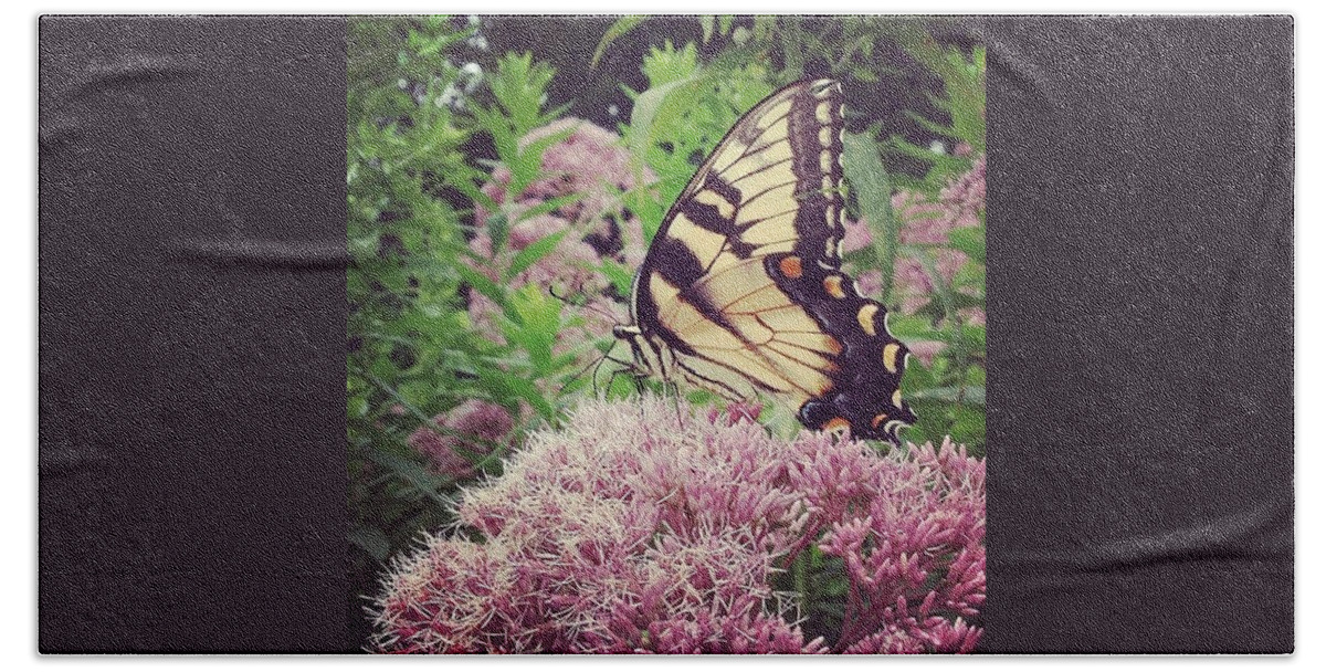Ilovephilly Hand Towel featuring the photograph Eastern Tiger Swallowtail by Katie Cupcakes