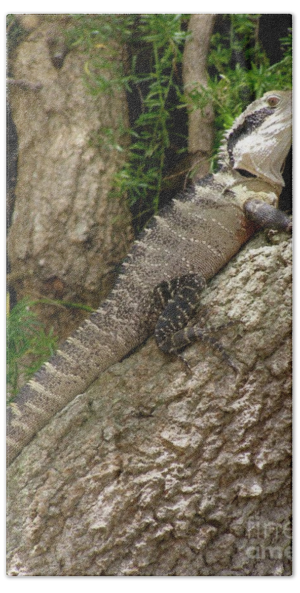 Eastern Water Dragon Bath Towel featuring the photograph Eastern Water Dragon by Bev Conover