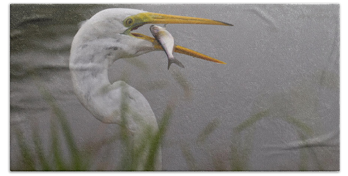 Egret Hand Towel featuring the photograph Egret Having Lunch by Jerry Gammon