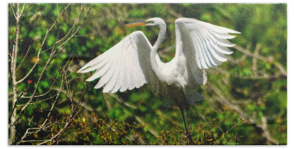 Egret Bath Towel featuring the photograph Egret In Evenings Light by Kathy Baccari