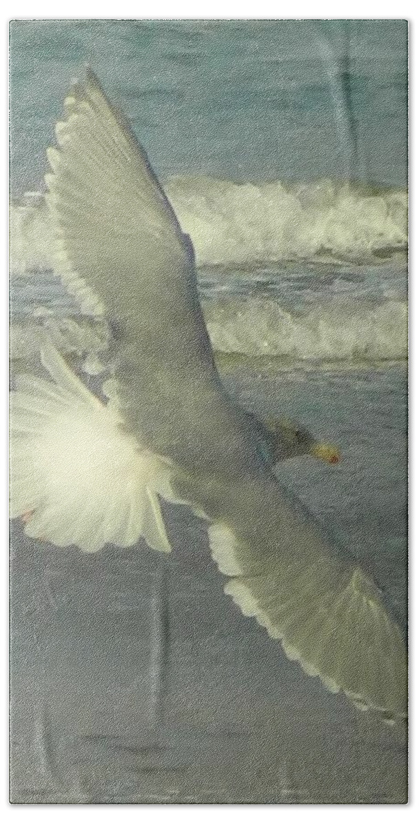 Seagulls Bath Towel featuring the photograph Elegance by Gallery Of Hope 