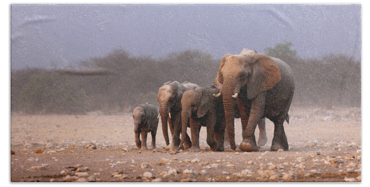 Wild Bath Towel featuring the photograph Elephant herd by Johan Swanepoel