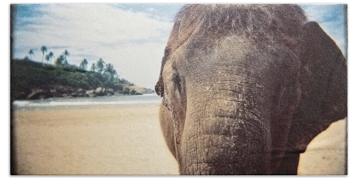 Animals Hand Towel featuring the photograph Elephant on the Beach by Carol Whaley Addassi