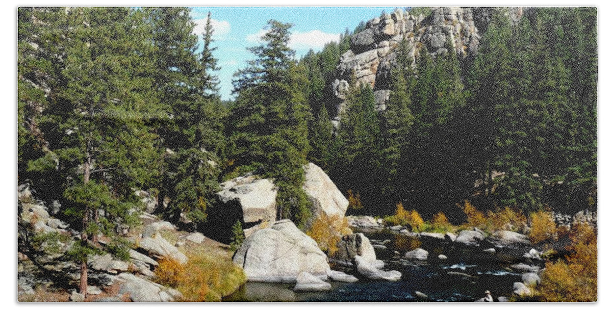 Colorado Bath Towel featuring the photograph Eleven Mile Canyon Stream by Marilyn Burton