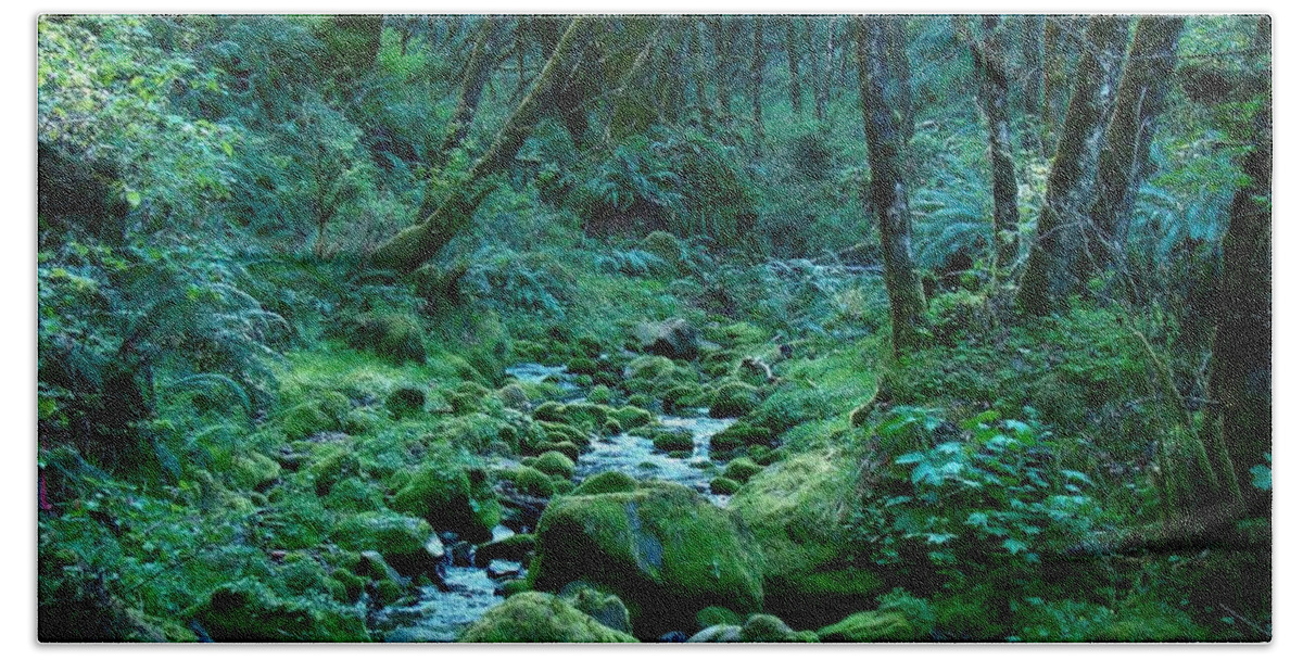Forest Hand Towel featuring the photograph Emerald Forest by Nick Kloepping