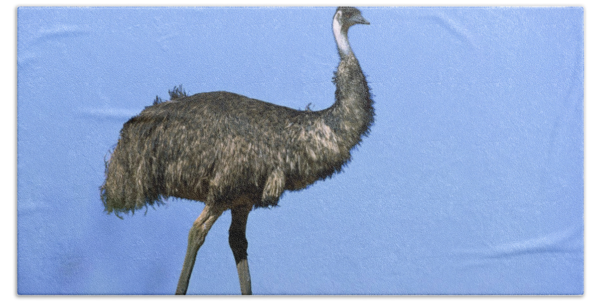 Feb0514 Hand Towel featuring the photograph Emu Portrait Sturt National Park by Konrad Wothe