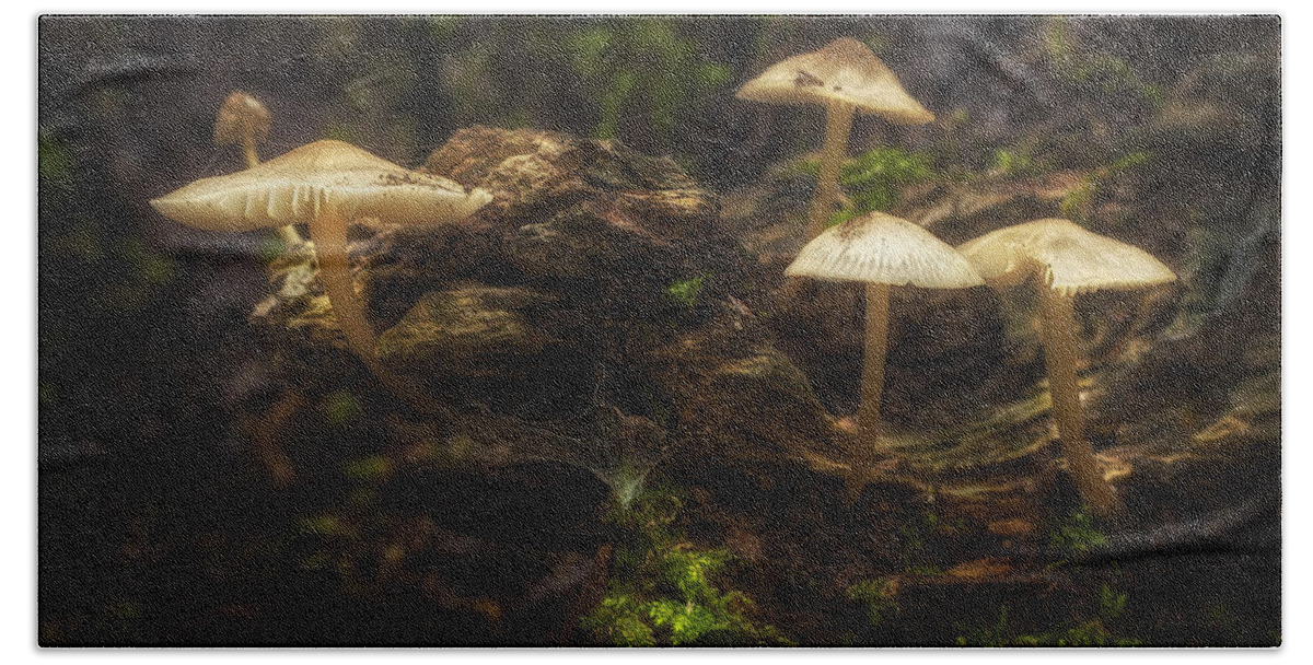 Mushrooms Hand Towel featuring the photograph Enchanted Forest by Scott Norris