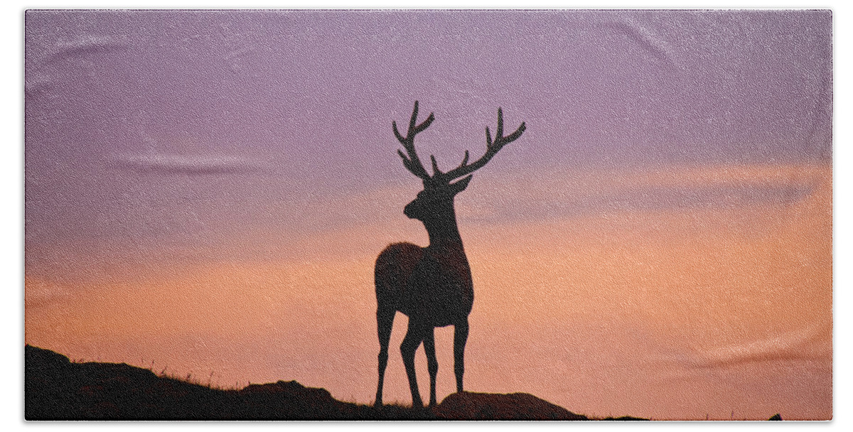 Elk Bath Towel featuring the photograph Enjoying the View by Darren White