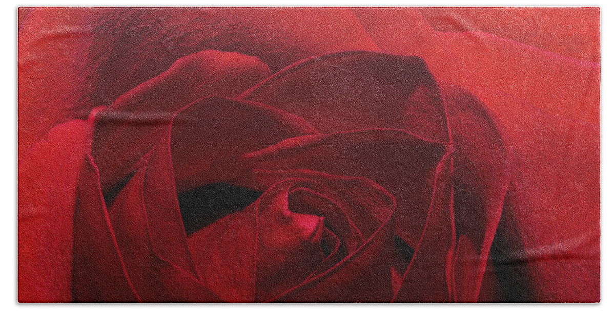 Rose Hand Towel featuring the photograph Enveloped In Red by Phyllis Denton