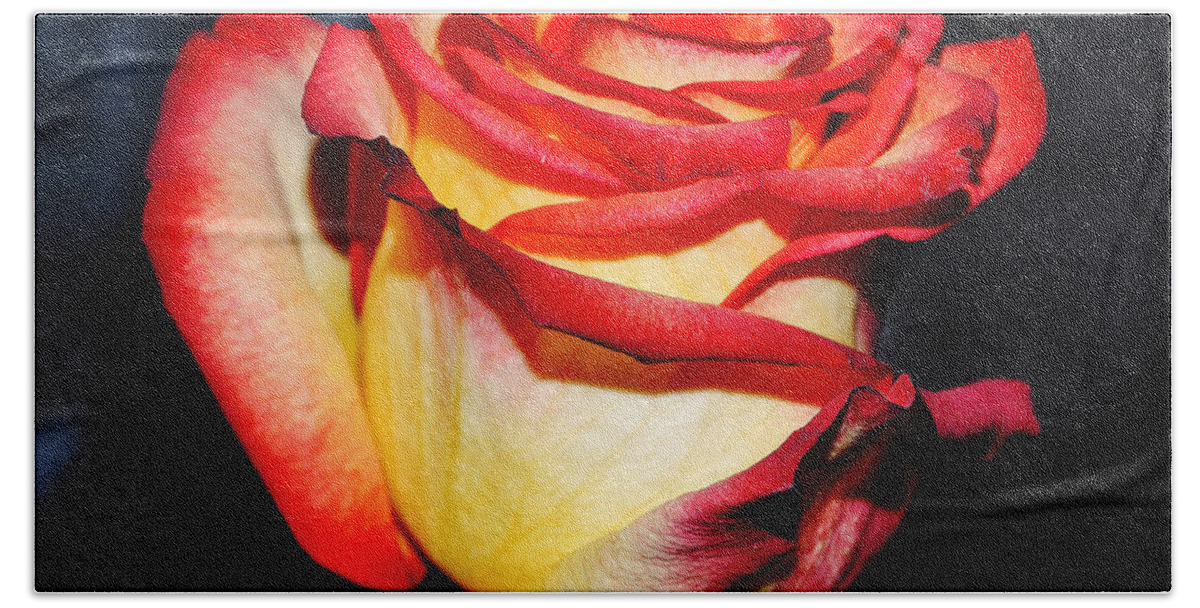 Rose Bath Towel featuring the photograph Event rose 3 by Felicia Tica