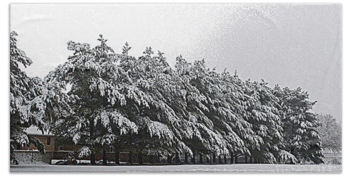 Illinois Bath Towel featuring the photograph Evergreens in Snow by Luther Fine Art