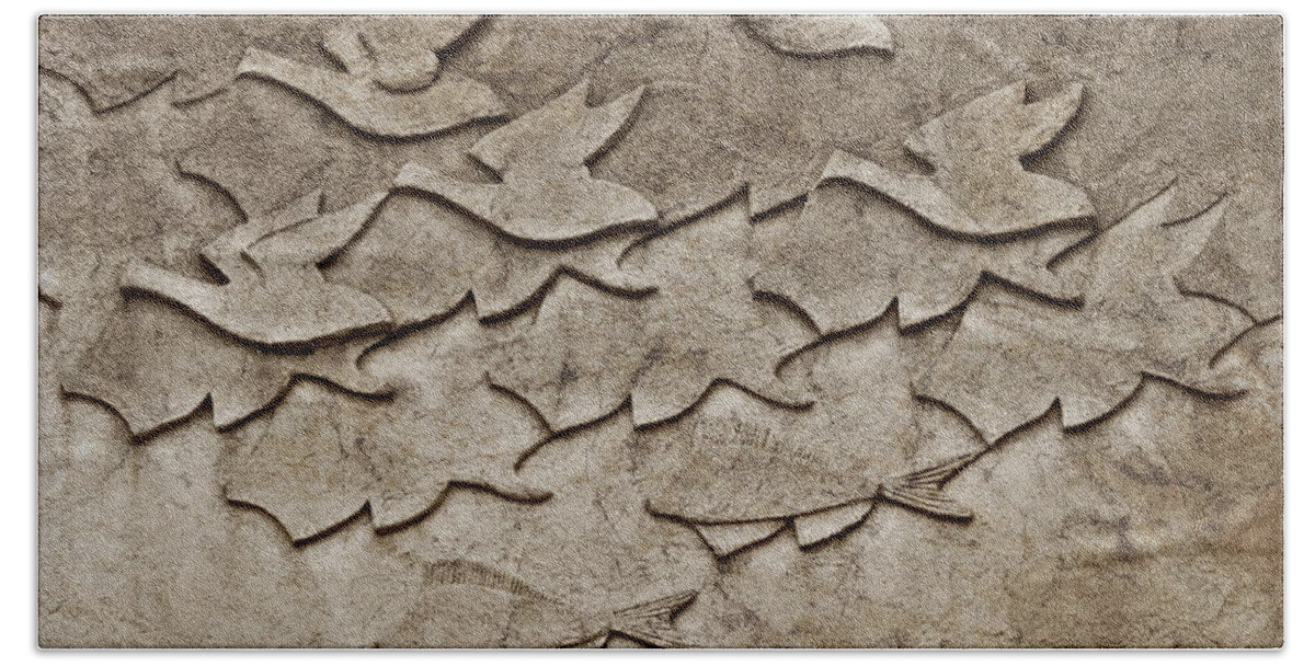 Birds Bath Towel featuring the photograph Evolution No. One by Andrea Kollo