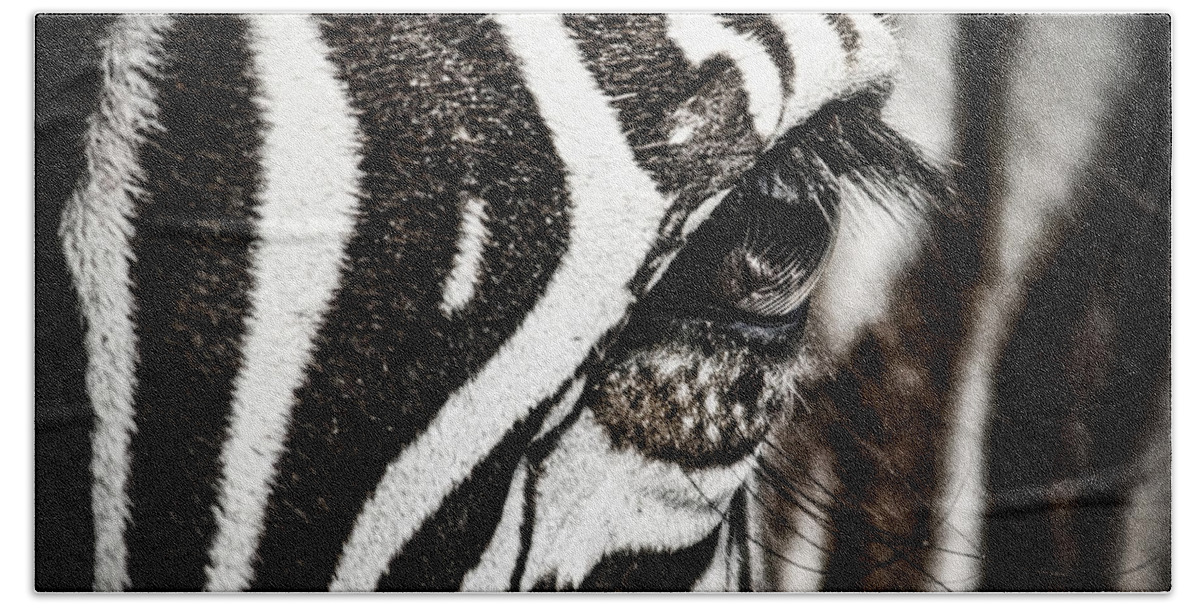 Africa Hand Towel featuring the photograph Eye Contact by Mike Gaudaur