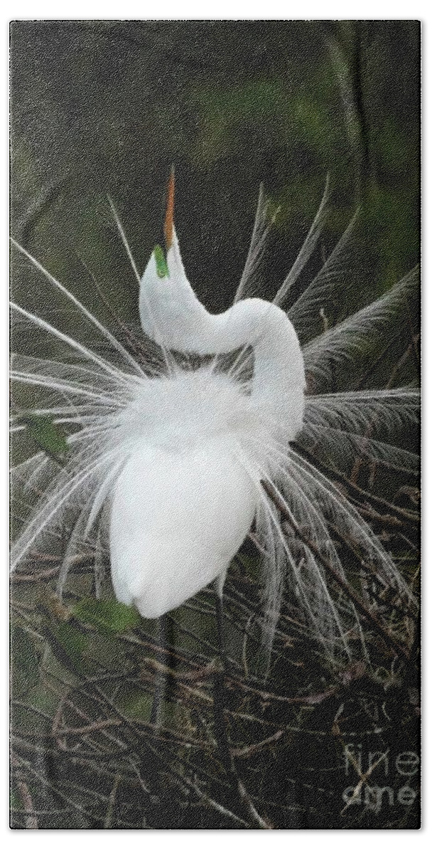 Great White Egret Hand Towel featuring the photograph Fabulous Feathers by Sabrina L Ryan