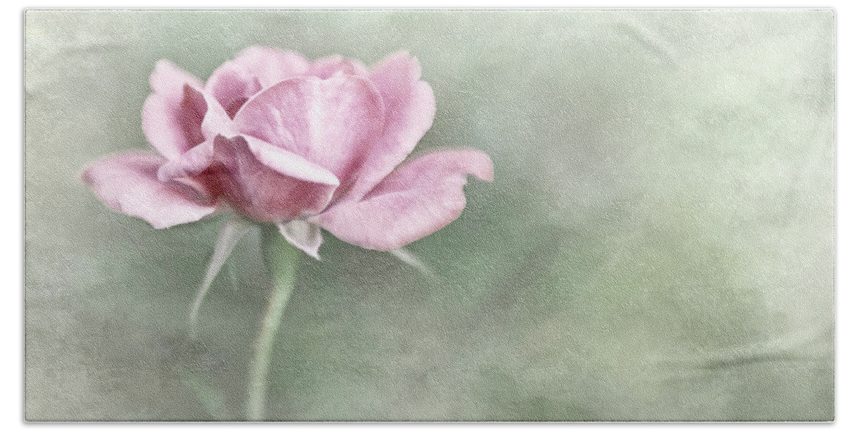 Bloom Hand Towel featuring the photograph Faded Rose by David and Carol Kelly