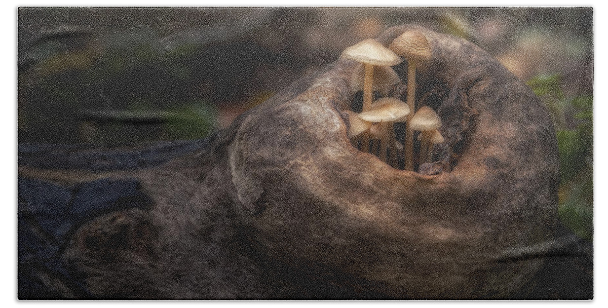 Mushroom Hand Towel featuring the photograph Fairie Garden by Scott Norris