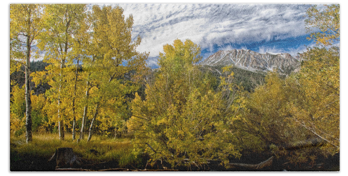 Trees Hand Towel featuring the photograph Fall at Tioga Pass by Cat Connor