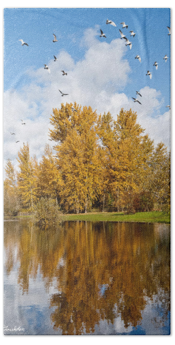 Agricultural Activity Bath Towel featuring the photograph Fall Colors Clouds and Western Gulls Reflected in a Pond by Jeff Goulden