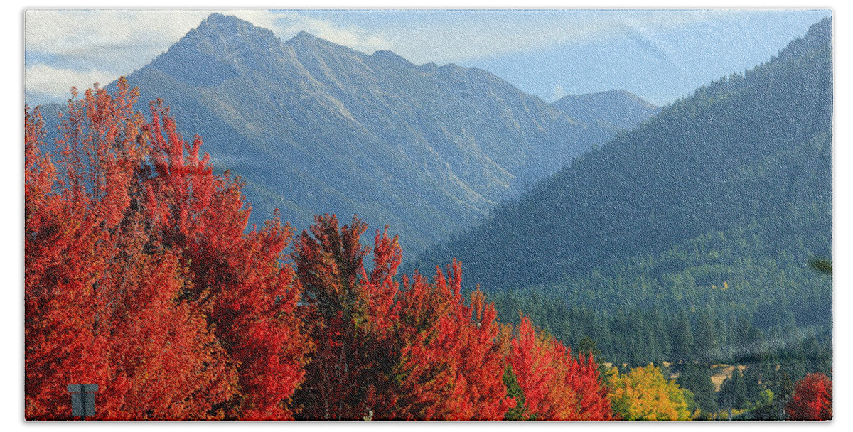 Fall Colors Bath Towel featuring the photograph Fall Colors in Joseph Or by Ed Cooper Photography