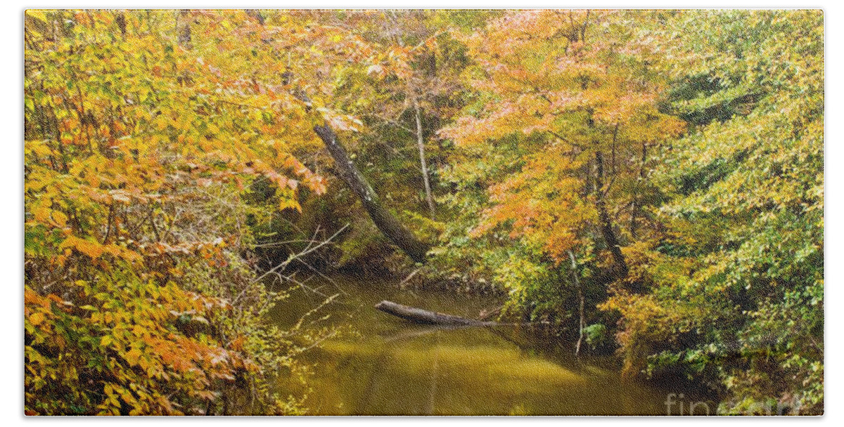 Michael Tidwell Photography Bath Towel featuring the photograph Fall Creek Foliage by Michael Tidwell
