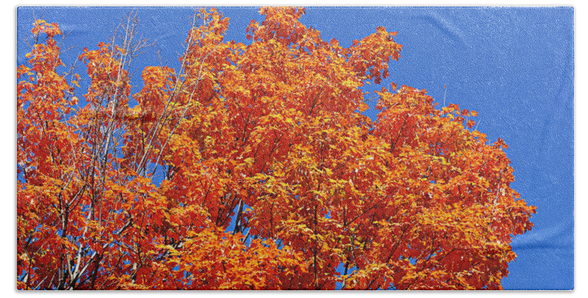 Autumn Bath Towel featuring the photograph Fall Foliage Colors 19 by Metro DC Photography