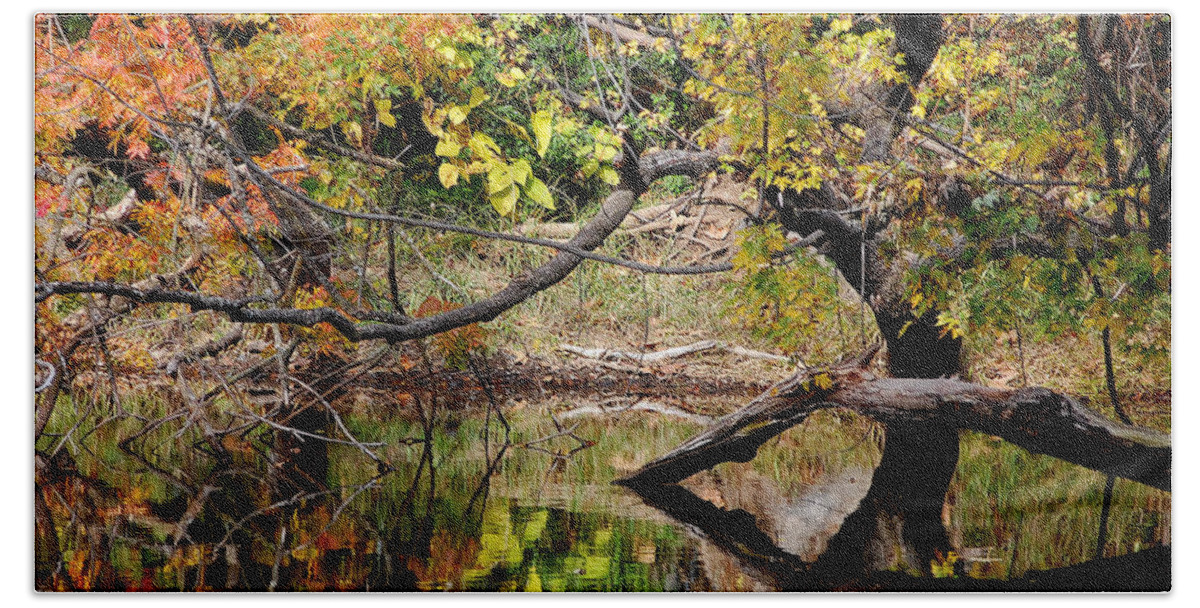 Fall Leaves Colors Branches Water One Mile Bidwell Park Chico Ca Bath Towel featuring the photograph Fall From the Water by Holly Blunkall
