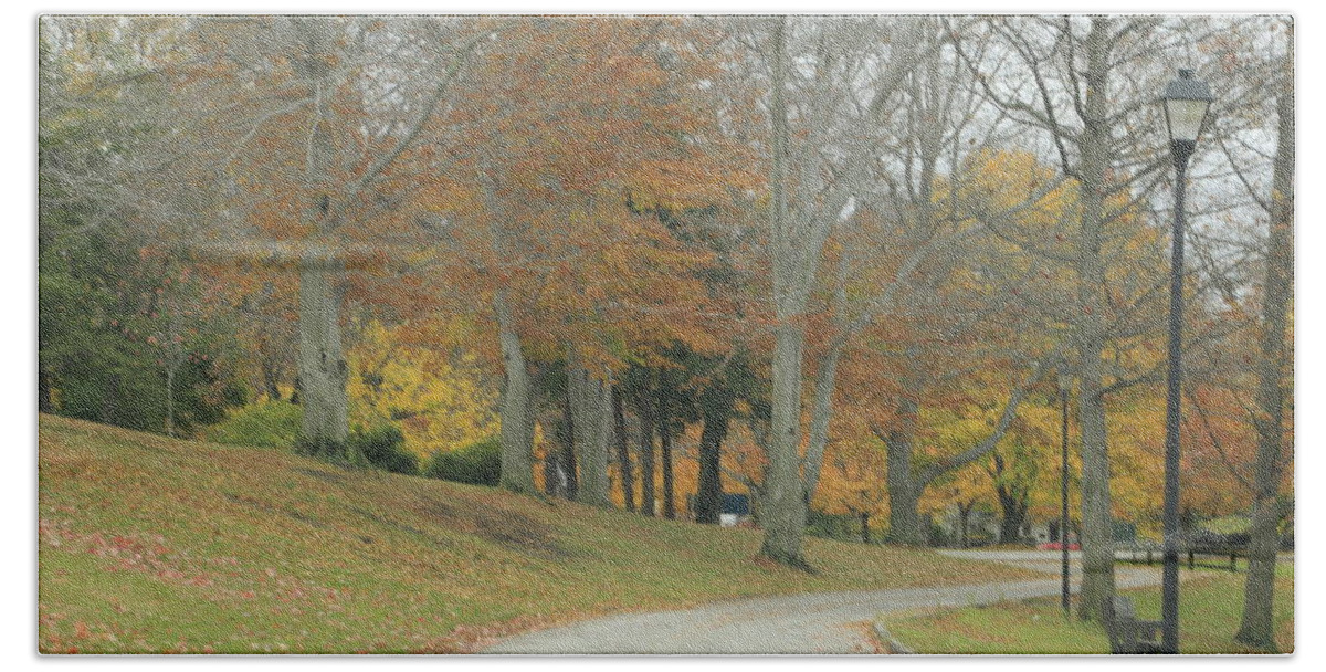 Fall Bath Towel featuring the photograph Autumn Day in NE Ohio by Valerie Collins