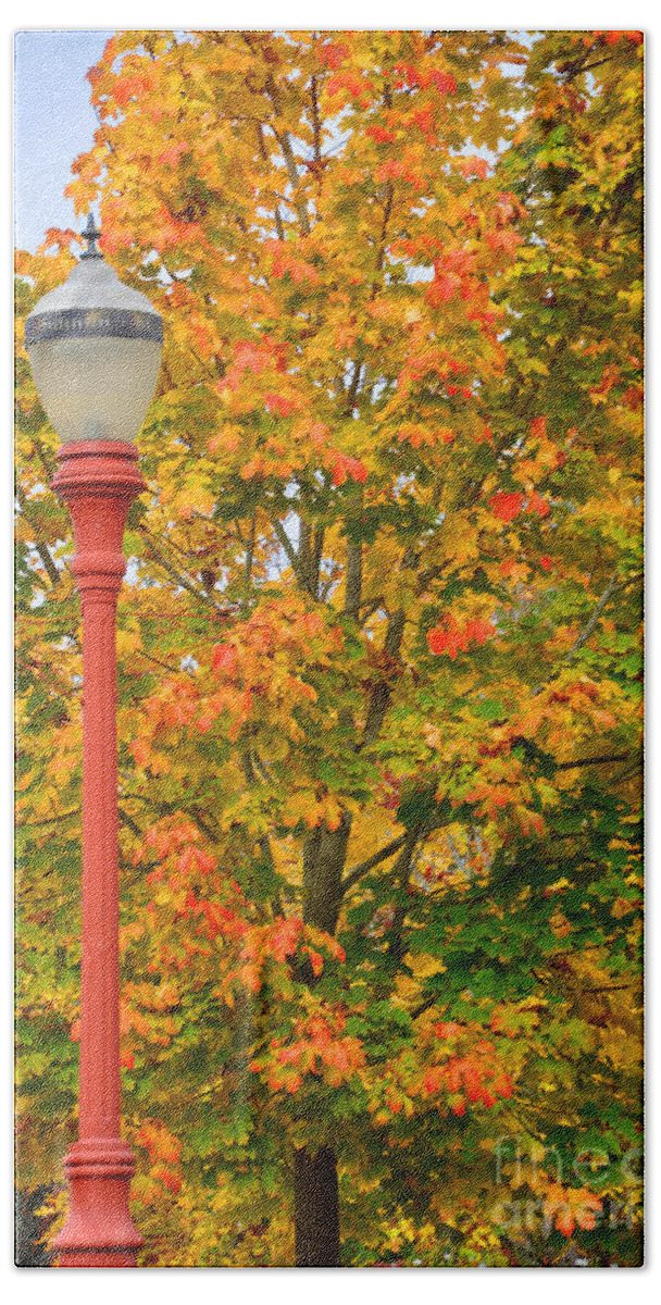 Lamppost Bath Towel featuring the photograph Fall Lamppost by Kirt Tisdale