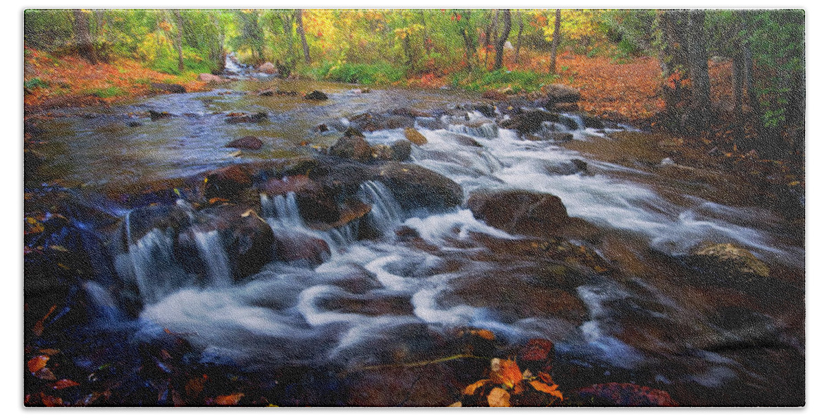 Fall Hand Towel featuring the photograph Fall on Fountain Creek by Ronda Kimbrow
