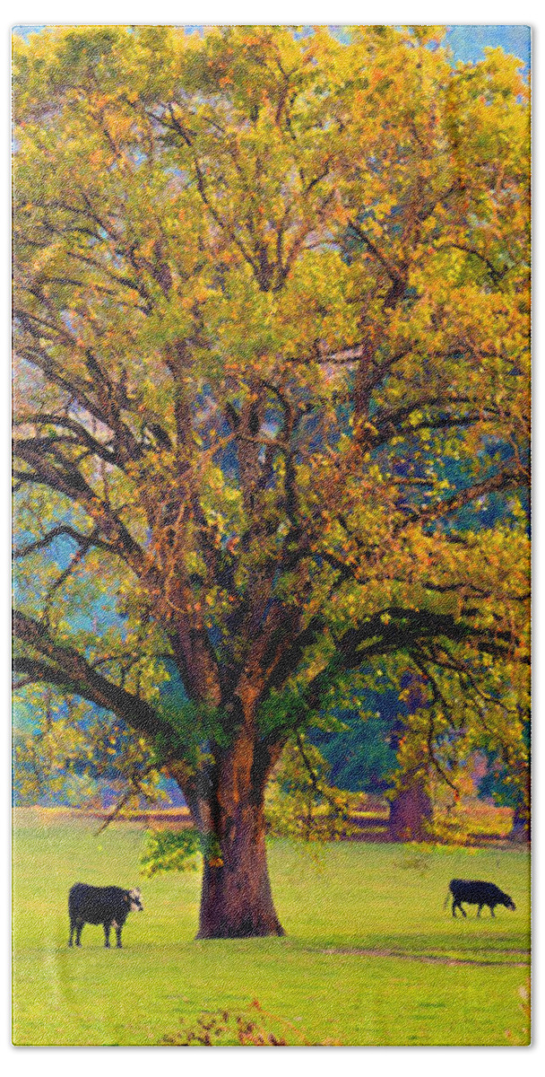 Pastoral Bath Towel featuring the photograph Fall Tree with Two Cows by Michele Avanti