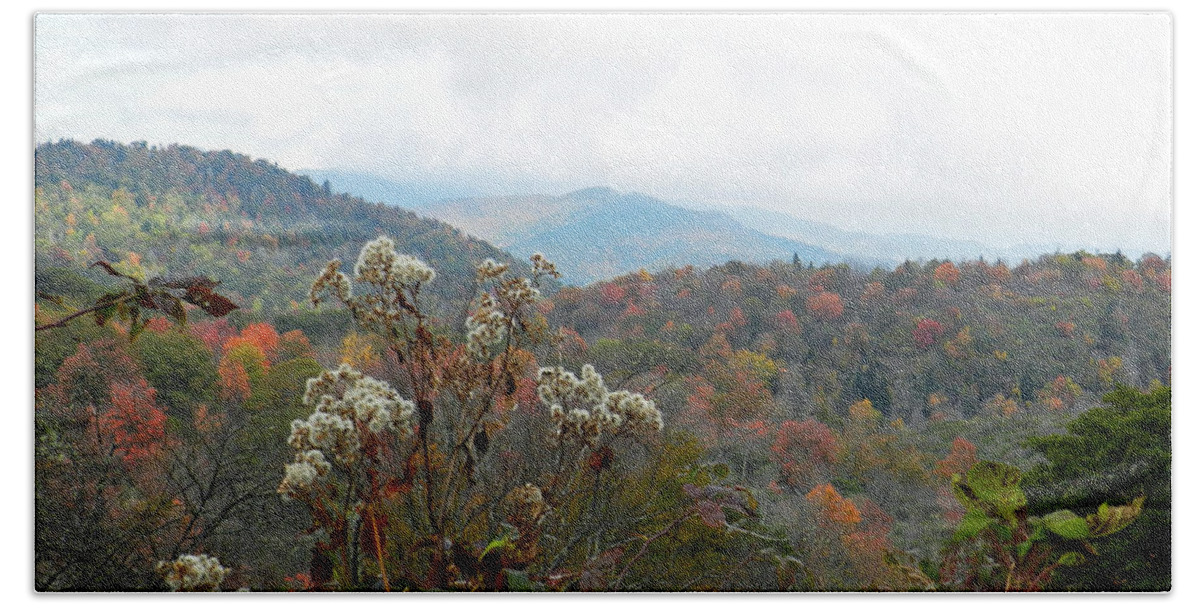 Weeds Bath Towel featuring the photograph Fall Weeds by Deborah Ferree