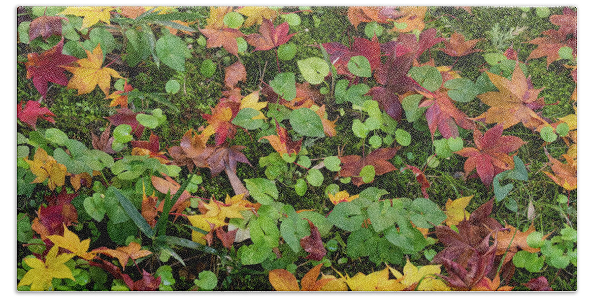 Photography Bath Towel featuring the photograph Fallen Autumnal Leaves On Ground by Panoramic Images