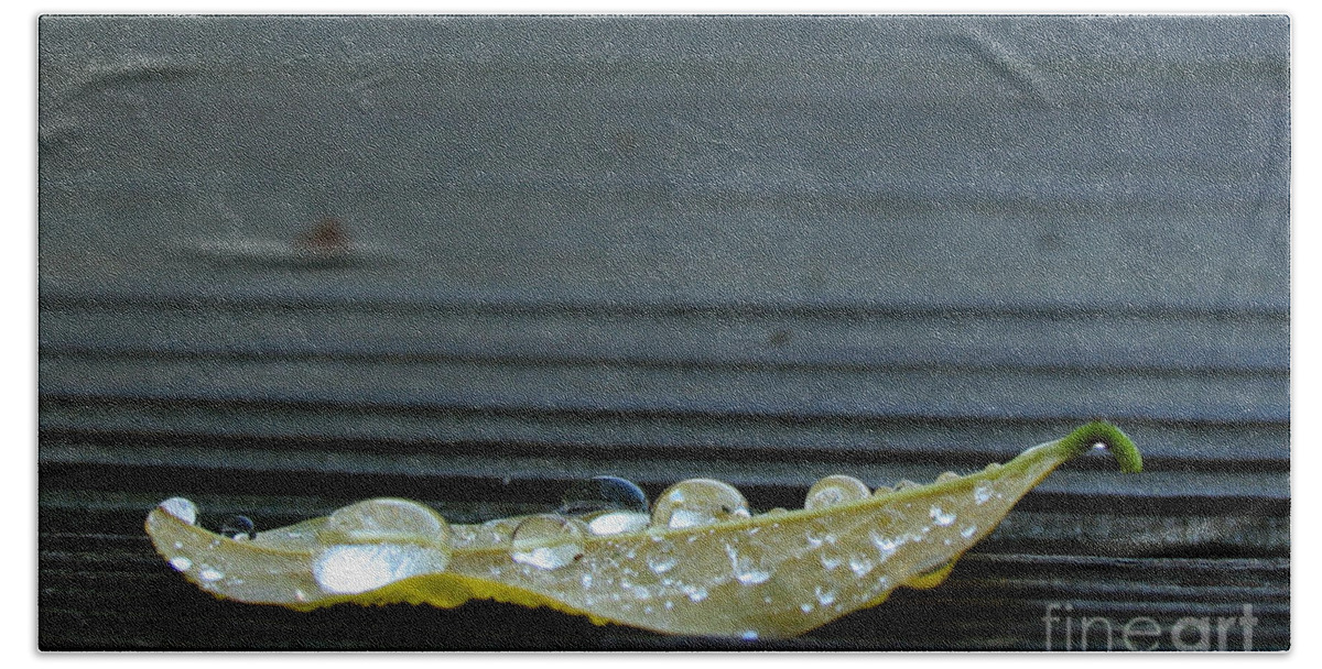 Leaf Bath Towel featuring the photograph Fallen II by Douglas Stucky