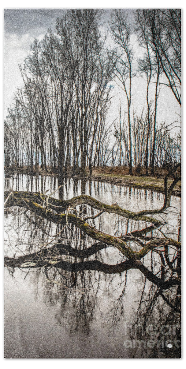 Living Trees Hand Towel featuring the photograph Fallen Tree Reflection by Grace Grogan