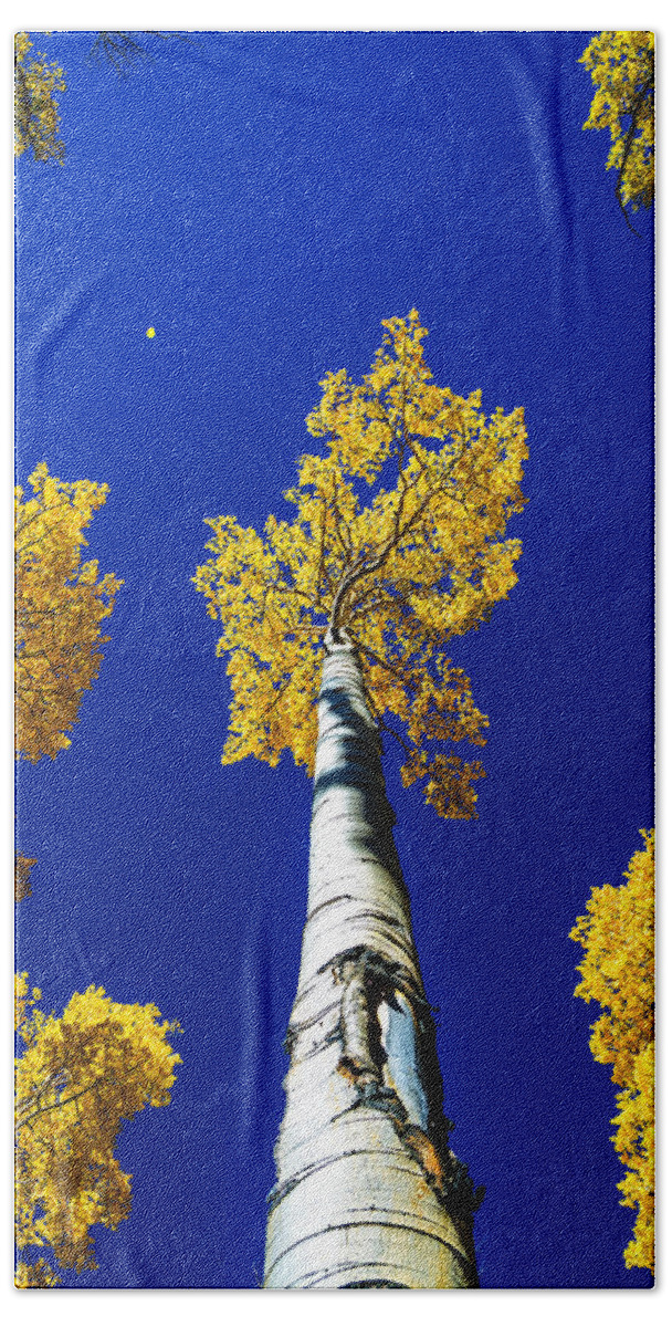 Falling Leaf Hand Towel featuring the photograph Falling Leaf by Chad Dutson