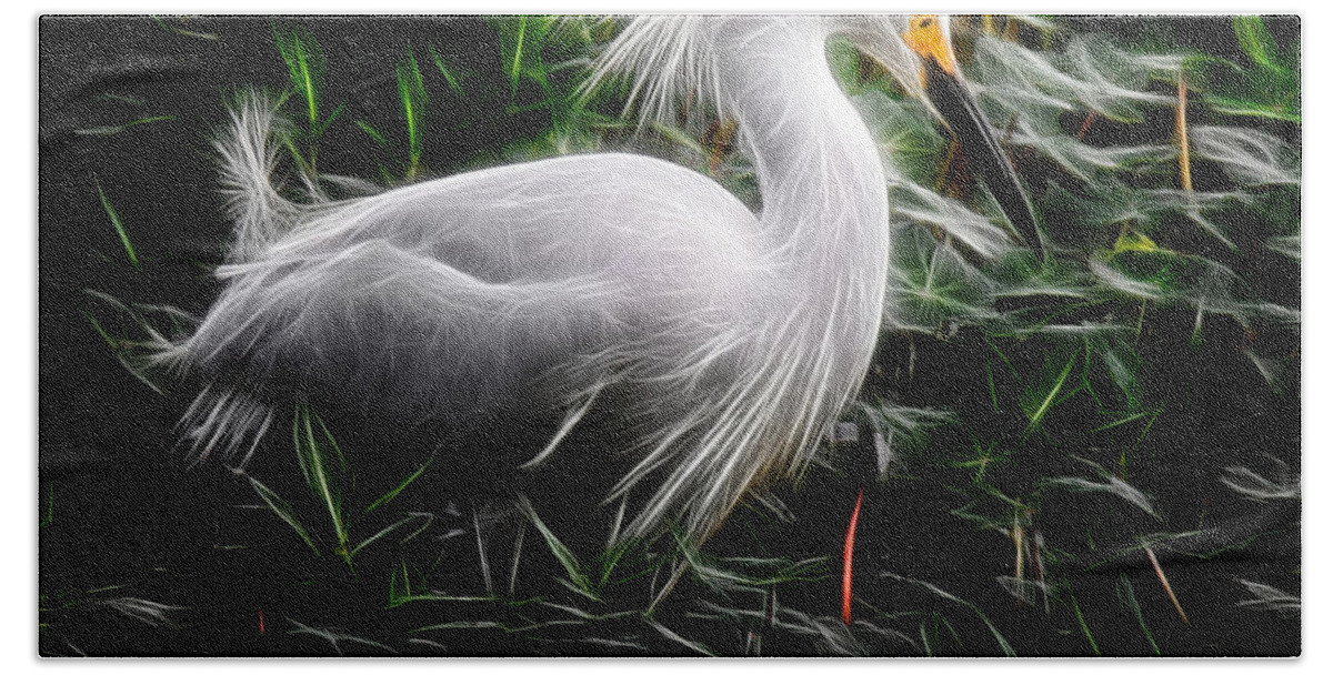 Egret Bath Towel featuring the photograph Fancy Feathers by Lucy VanSwearingen