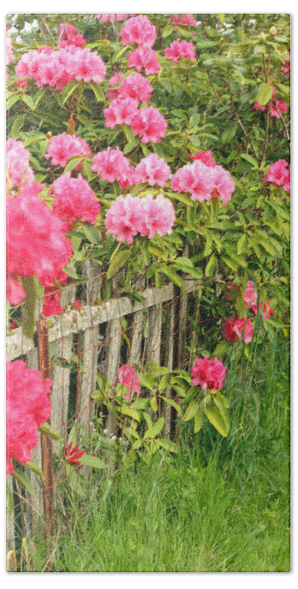 Rhodies In Bloom Hand Towel featuring the photograph Fancy Fence by E Faithe Lester