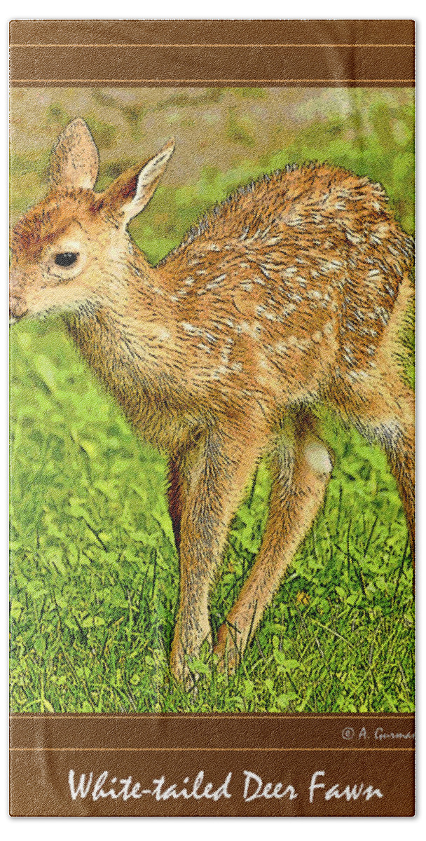 White-tailed Deer Bath Towel featuring the photograph Fawn Poster Image by A Macarthur Gurmankin