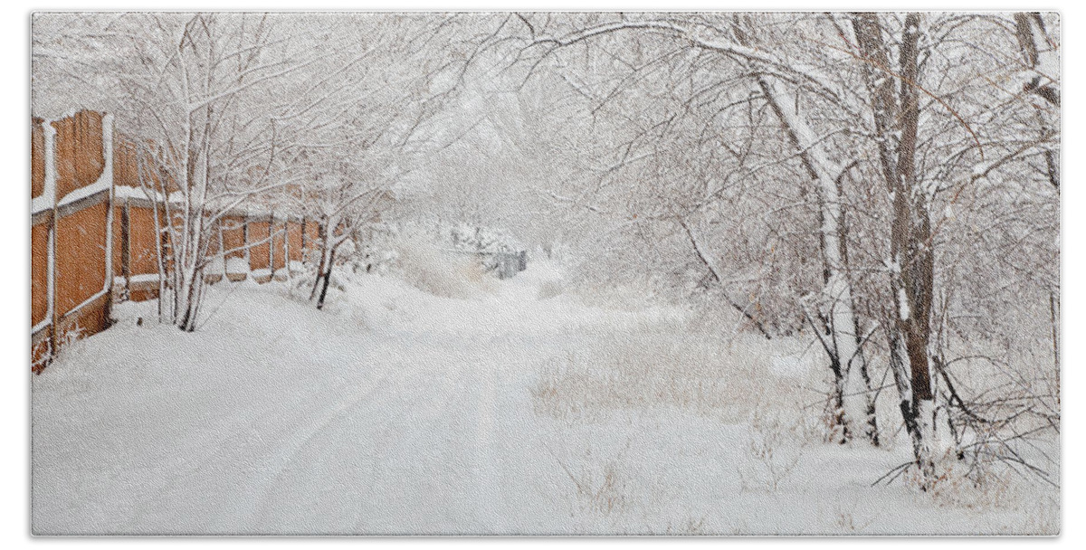 Snow Bath Towel featuring the photograph February Snow by Theresa Tahara